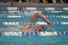 Swim vs Bentley  Wheaton College Swimming & Diving vs Bentley University. - Photo by Keith Nordstrom : Wheaton, Swimming & Diving